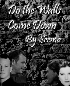 Do the Walls Come Down by Seema